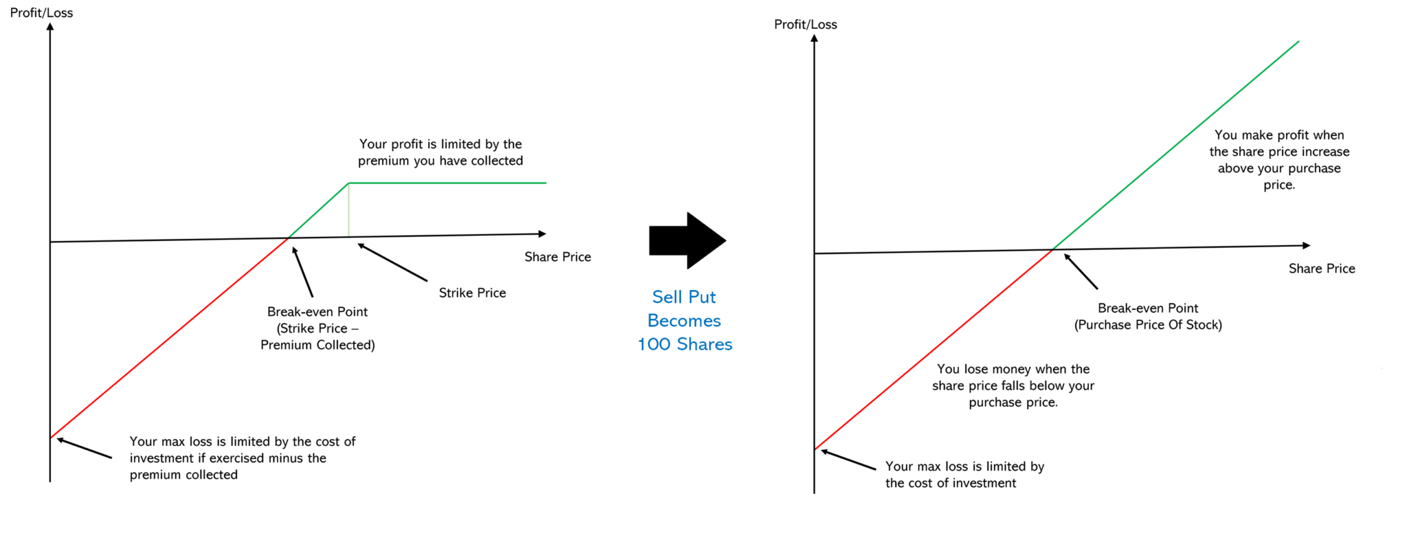 Risk Profile Graph Of Options - Passive Seeds